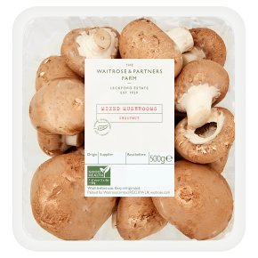 South of England mushrooms