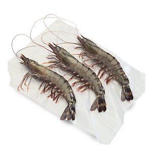 No.1 Whole Madagascan Tiger Prawns