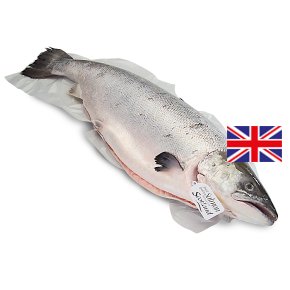 Waitrose whole Scottish salmon