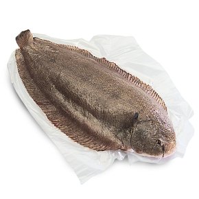No.1 British Fresh Whole Dover Sole