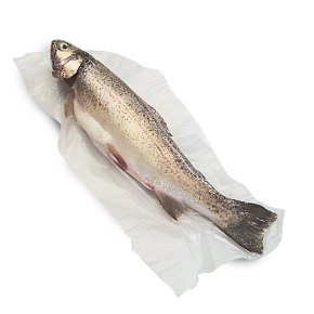 Fresh English Whole Rainbow Trout