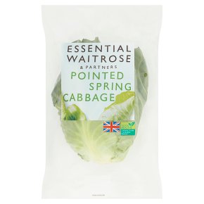 essential Waitrose pointed spring cabbage