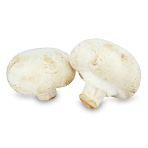 Cup Mushrooms