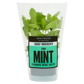 Cooks' Ingredients Mint Pot