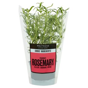 Waitrose Cooks' Ingredients British rosemary pot medium