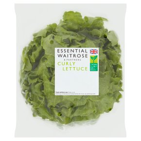 essential Waitrose curly lettuce