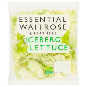 essential Waitrose iceberg lettuce