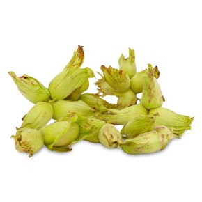 Kentish Cobnuts