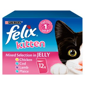 Felix Kitten Cat Food Mixed In Jelly