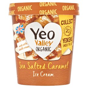 Yeo Valley Organic Ice Cream Sea Salted Caramel