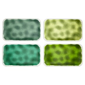 Waitrose Verdant Melamine Trays