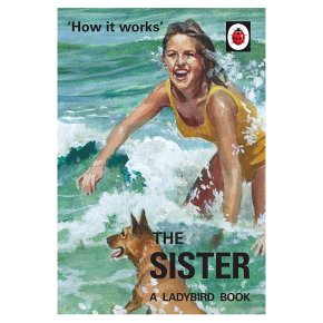 How it Works - The Sister Jason Hazeley