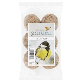 Waitrose Garden 6 fat balls
