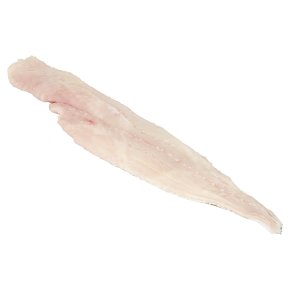 Fresh Cornish Hake Fillets