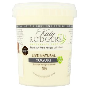 Katy Rodgers natural yogurt