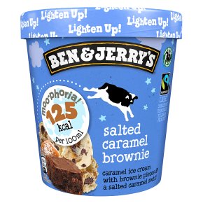 B&J Moo-phoria! Salt Caramel Brownie