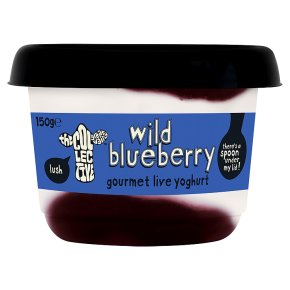 The Collective Wild Blueberry Gourmet Live Yoghurt