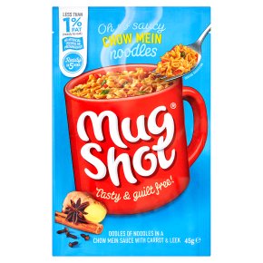 Mug Shot Chinese style noodles