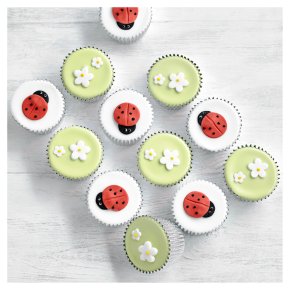 Fiona Cairns Ladybird and Blossom Cupcakes