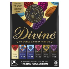Divine 12 Little Bars