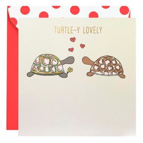 Turtle-y Lovely