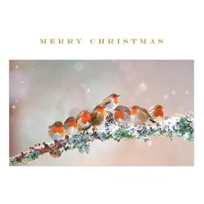 Open Christmas Card