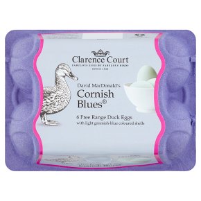 C/Court Cornish blues FR duck eggs