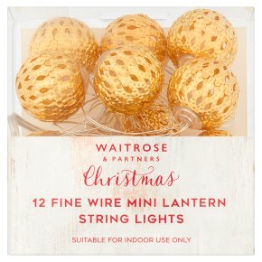 Waitrose Fine Wire Mini Lantern Lights
