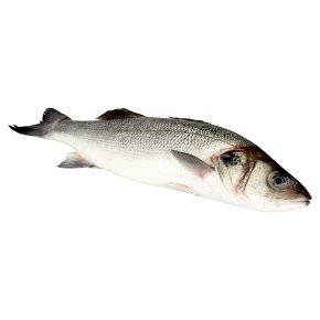 Whole Fresh Large Sea Bass