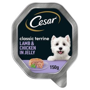 CESAR Classics Dog Tray with Lamb and Chicken in Jelly 150g