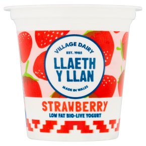 Village Dairy Strawberry Yogurt