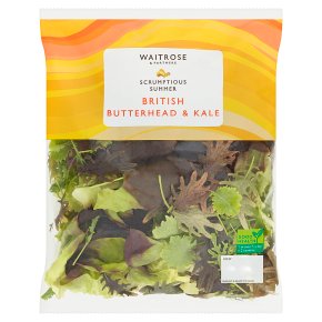 Waitrose British Butterhead & Kale