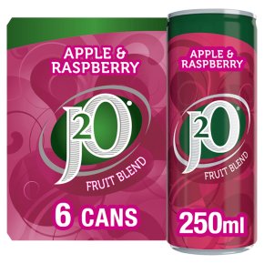 J2O fridge pack apple & raspberry