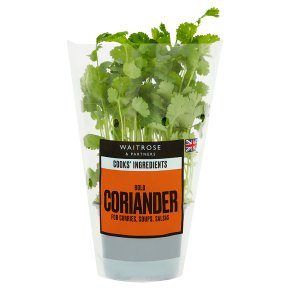 Cooks' Ingredients coriander medium pot