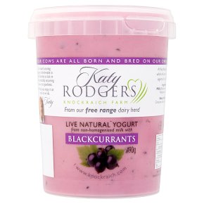 Katy Rodgers Natural Yogurt Blackcurrants