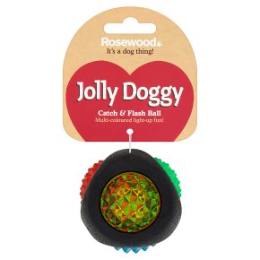 Rosewood Jolly Doggy Catch & Flash Ball