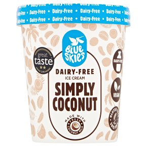 Blue Skies Dairy-Free Coconut Ice Cream