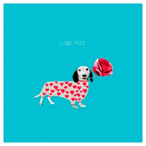 Love You Dog