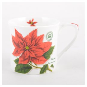 Kew poinsetta mug