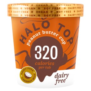 Halo Top Dairy Free Peanut Butter Cup